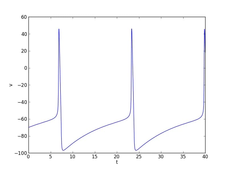 Alan Lloyd Hodgkin - Output of simulations of the Hodgkin-Huxley equations, describing the recurrent generation of action potentials.
