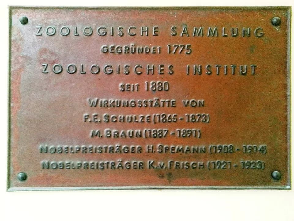 Hans Spemann - Plaque on Zoologisches Institut of the Rostock University, referring to Nobel laureates of the institute, in the Mittelstadt (Middle Town) of the historic city centre, Rostock, Mecklenb
