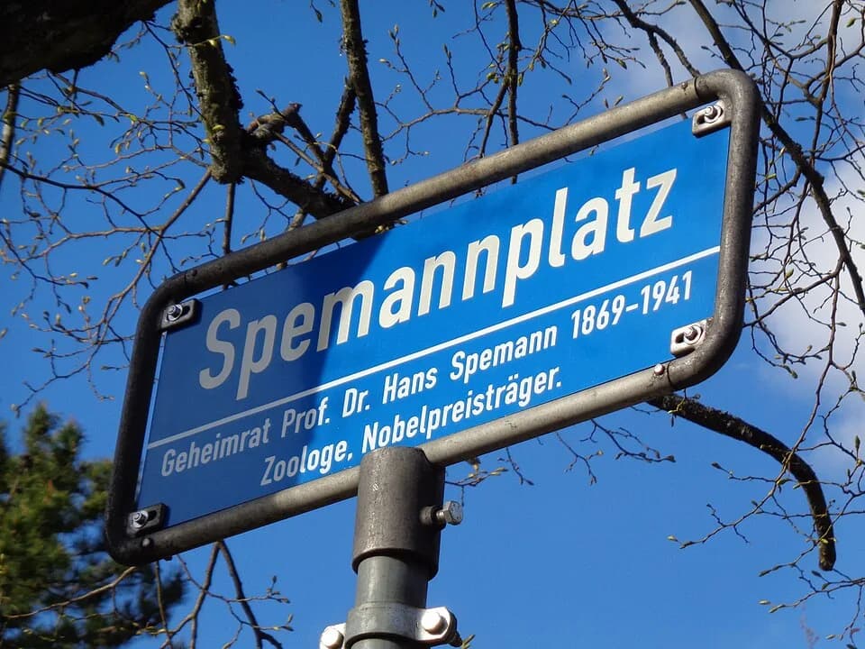 Hans Spemann - Der Spemannplatz in Freiburg im Jahr 2022. Benannt zu Ehren von Prof. Dr. Hans Spemann, einem Zoologen und Nobelpreisträger. Gestorben 1941 in Freiburg im Breisgau.