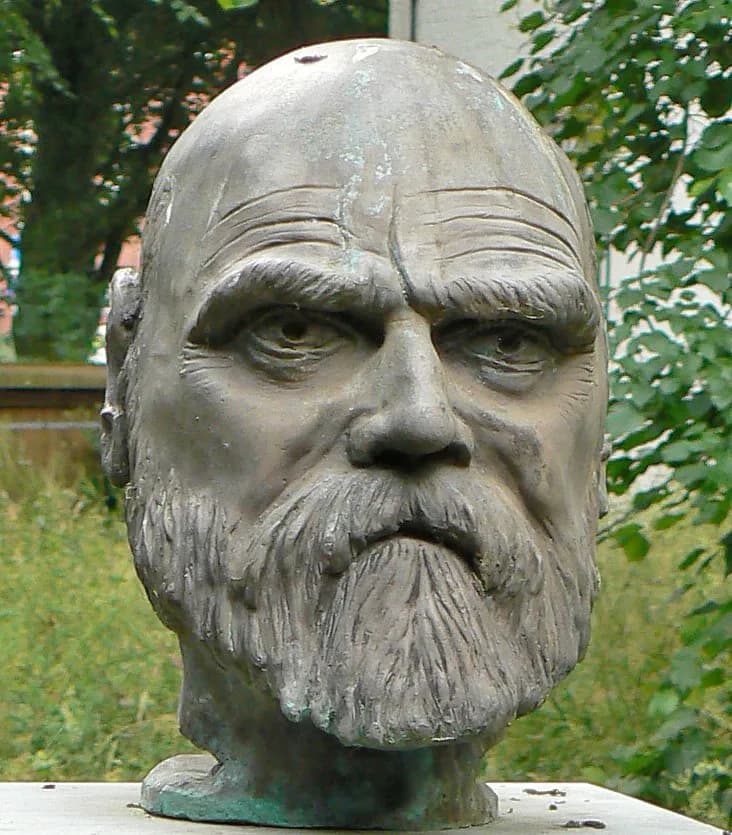 Ferdinand Tönnies - Denkmalbüste von Ferdinand Tönnies. Bildhauer: Raimund Kittl, Enthüllung: 14. September 2005 durch John Carstens, Standort: vor dem Schloss vor Husum mit Blickrichtung auf das Kava