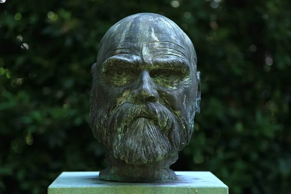 Ferdinand Tönnies - Ferdinand-Tönnies-Denkmal im Schlosspark in Husum