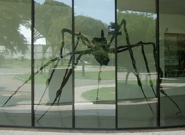 Louise Bourgeois - Louise Bourgeois - Aranha, exposta em sala do Museu de Arte Moderna de São Paulo. Acervo Itaú, cedido em comodato ao MAM-SP. Vista externa (marquise). São Paulo, Brasil.