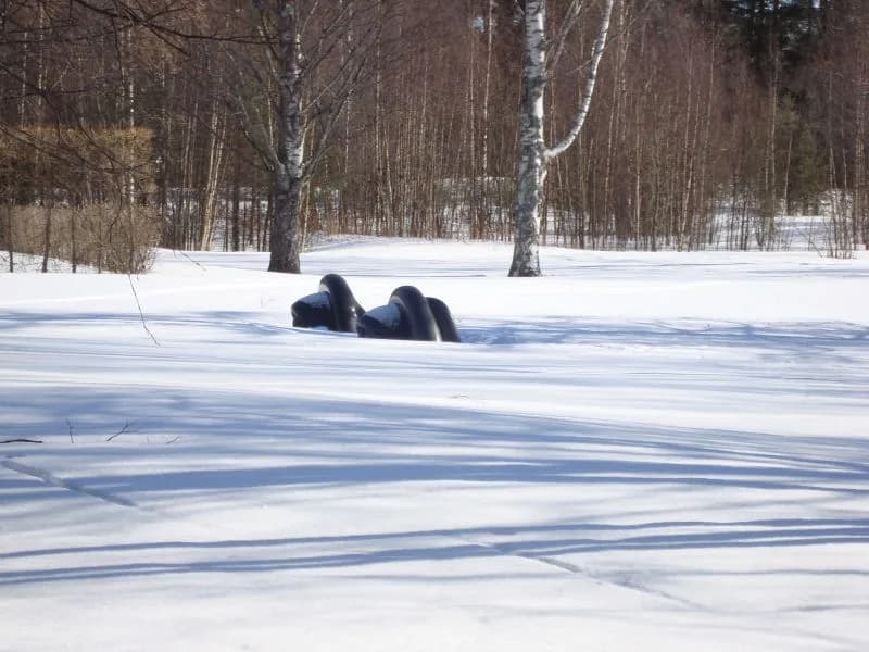 Louise Bourgeois - Umeå sculpture park/Sweden with Eye Benches II (1996/97) by Louise Bourgeois#