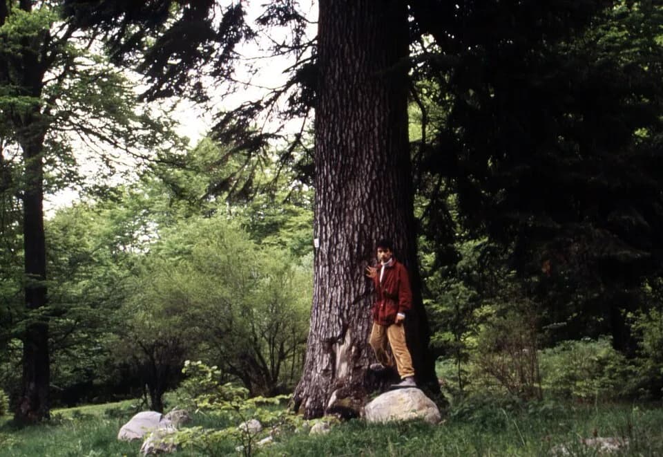 Boris III of Bulgaria - Pirin fir.jpg