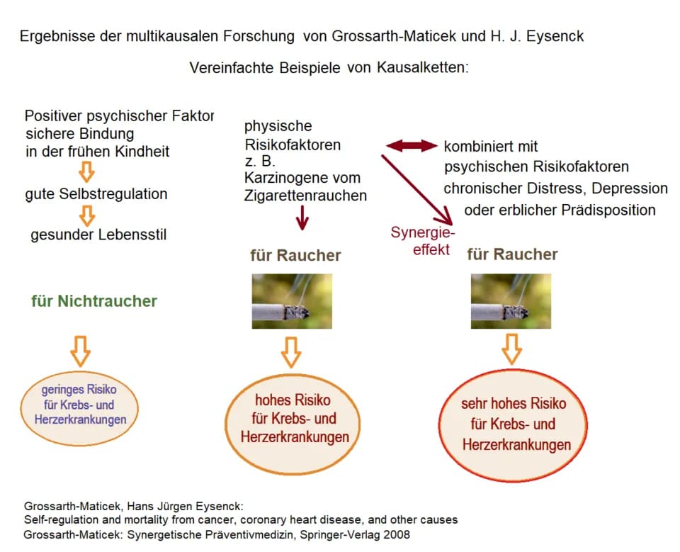 Hans Eysenck - Ergebnisse der multikausalen Forschung, Vereinfachte Kausalketten zu Gesundheit, Krebs- und Herzerkrankungen