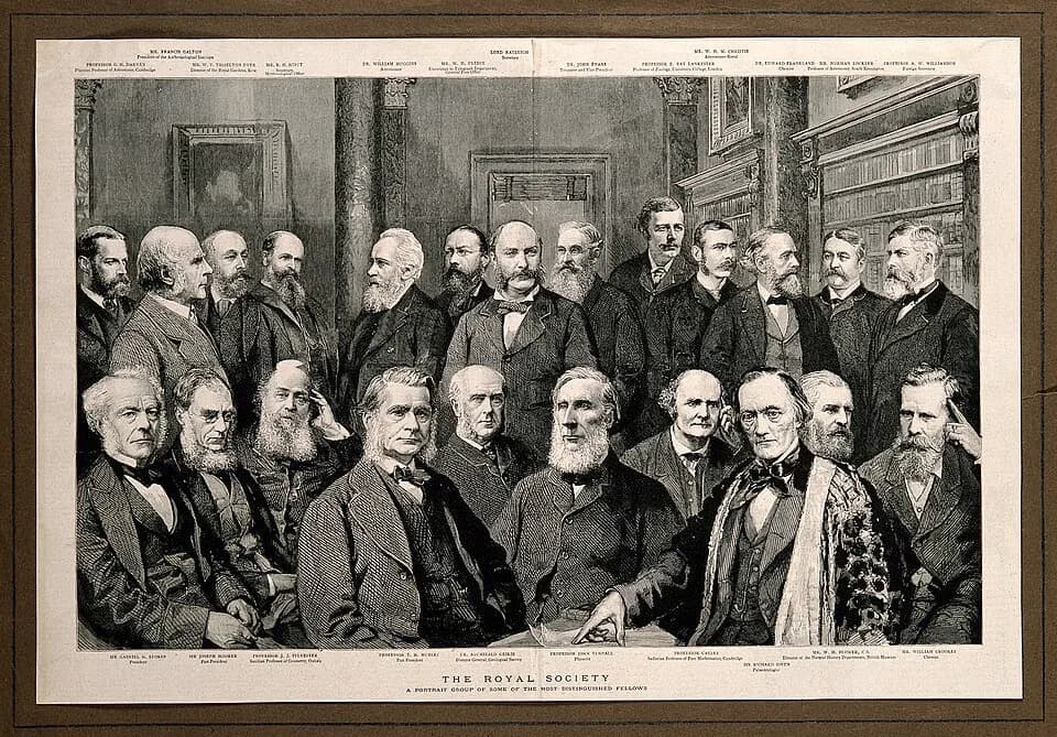 Sir George Stokes, 1st Baronet - Wood engraving, 1885.
The Royal Society - a Portrait group of some of the most distinguished fellows
Names at the top row (standing):

Professor G. H. Darwin - Plumbia