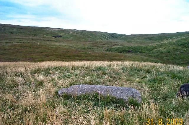 Ted Hughes - Ted Hughes. Ted Hughes's memorial stone on top of a grassy mound (SX 609865)- probably once the spoil heap of medieval tinners. The Taw valley lies behind.