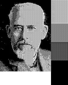 Max Wolf - Max Wolf ordered dithering (2x2)