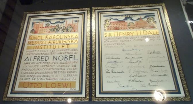 Otto Loewi - The en:Nobel Prize diploma of en:Henry Hallett Dale, awarded in 1936 and displayed in the en:Royal Society, en:London. Copyright 2004 Kaihsu Tai.


Permission is granted to copy, distribu