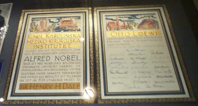 Otto Loewi - The en:Nobel Prize diploma of en:Otto Loewi, displayed in the en:Royal Society, en:London. Copyright © 2004 Kaihsu Tai.
