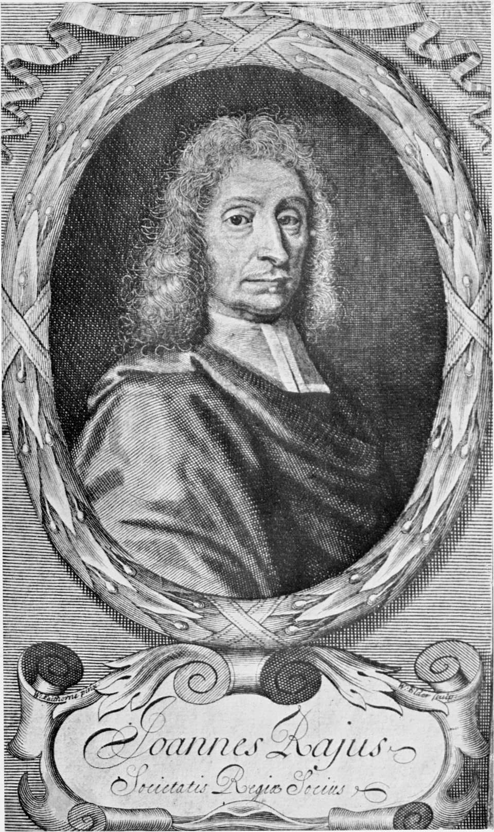 John Ray - woodcut of John Ray (1627–1705)
