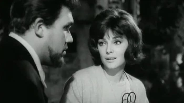 Virna Lisi - Gastone Moschin e Virna Lisi interpretano rispettivamente Osvaldo Bisigato e Milena Zulian nel film Signore &amp; signori (1966) di Pietro Germi.