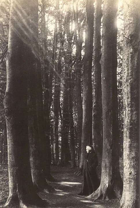 Elisabeth of Wied - Queen Elisabeth of Romania - Carmen Sylva in the forest of  Neuwied

from Royal Holidays by Cyrille Boulay, Assouline Publishing, New York, 2003