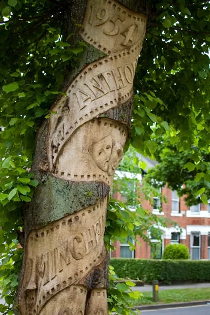 Anthony Minghella - Anthony Minghella tree, Hull