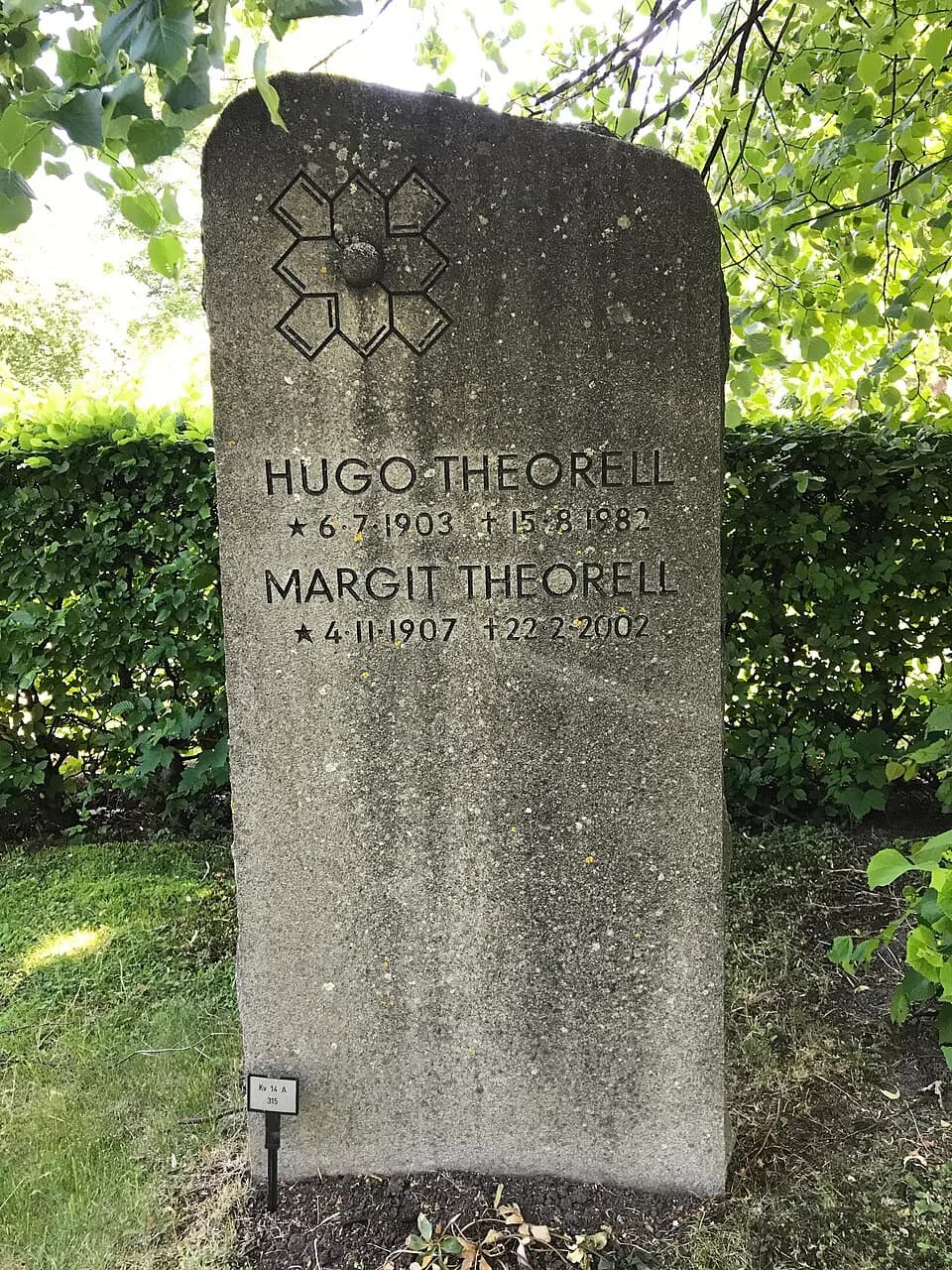 Hugo Theorell - Kv 14 A 315