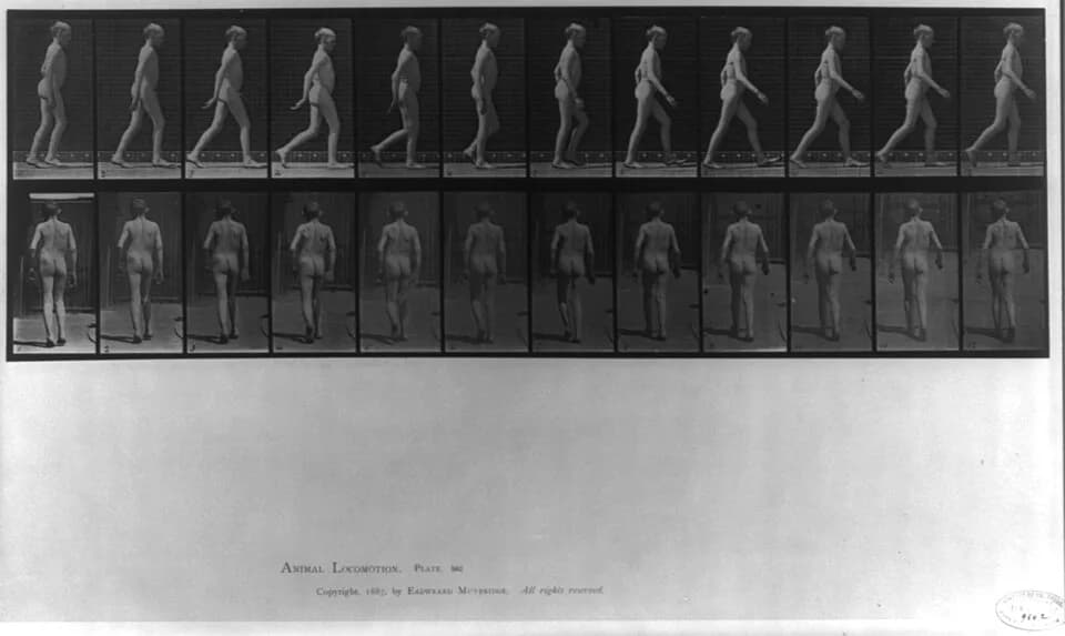 Eadweard Muybridge - Title: Animal Locomotion - side and rear views of boy walking (pl. 562)
Abstract/medium: 1 photographic print.