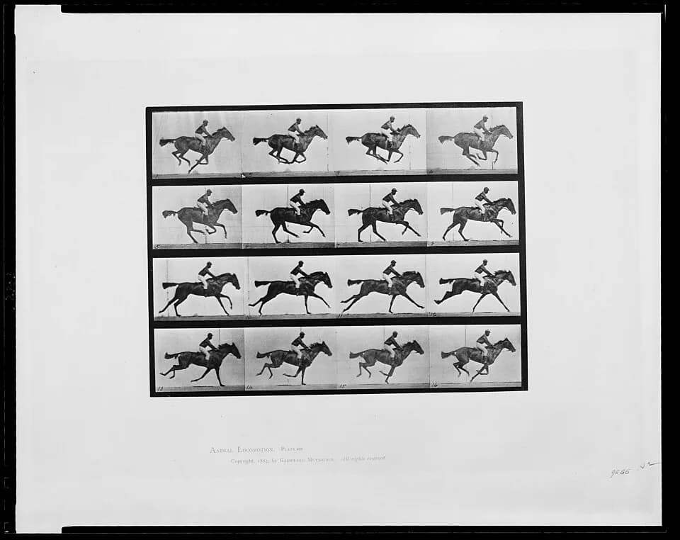 Eadweard Muybridge - Title: Animal locomotion - 16 frames of racehorse "Annie G." galloping
Abstract/medium: 1 photomechanical print : collotype.