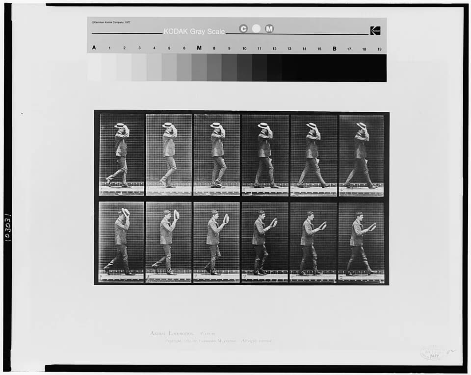 Eadweard Muybridge - Title: Animal locomotion
Abstract/medium: 1 photomechanical print : collotype.
