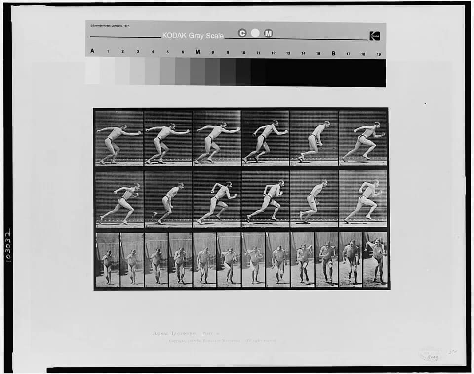 Eadweard Muybridge - Title: Animal locomotion
Abstract/medium: 1 photomechanical print : collotype.