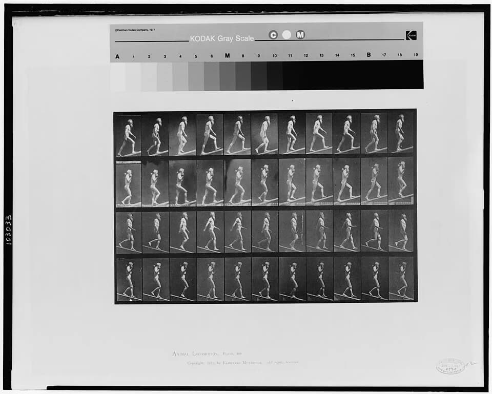 Eadweard Muybridge - Title: Animal locomotion
Abstract/medium: 1 photomechanical print : collotype.