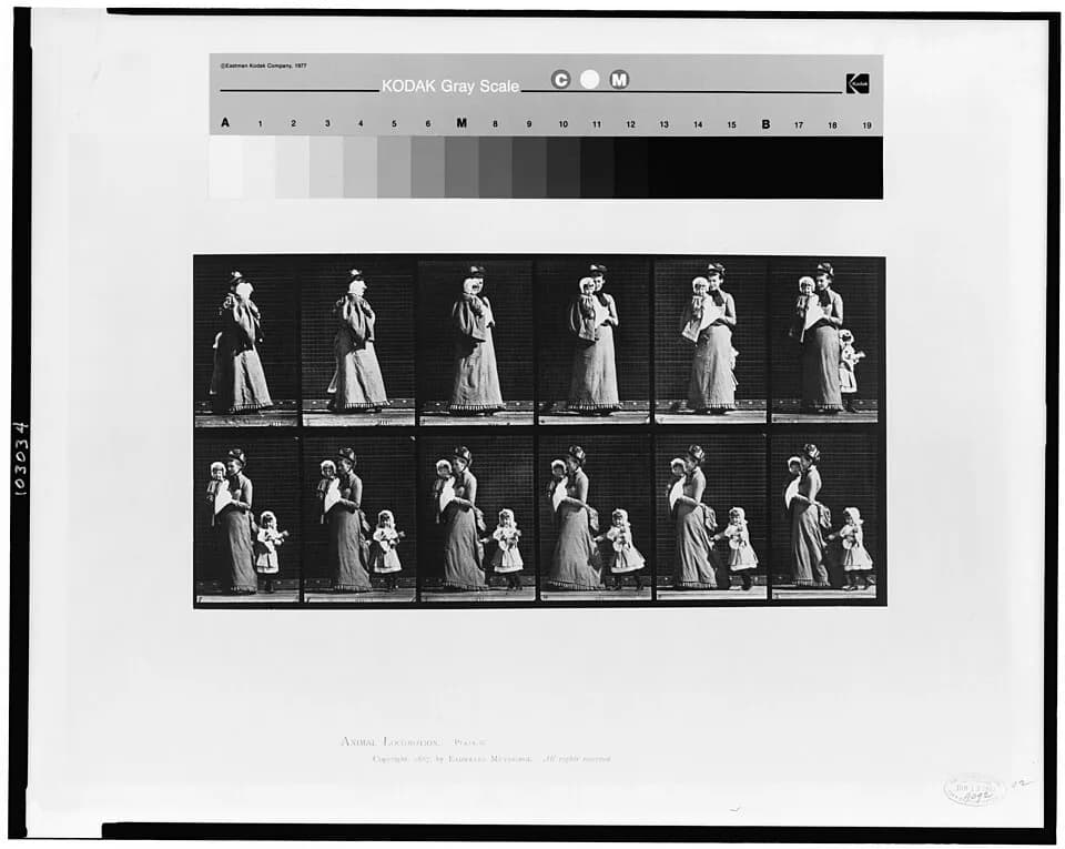 Eadweard Muybridge - Title: Animal locomotion
Abstract/medium: 1 photomechanical print : collotype.