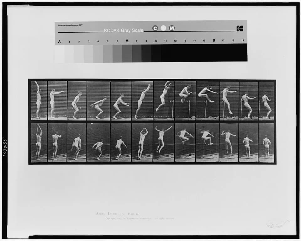 Eadweard Muybridge - Title: Animal locomotion
Abstract/medium: 1 photomechanical print : collotype.