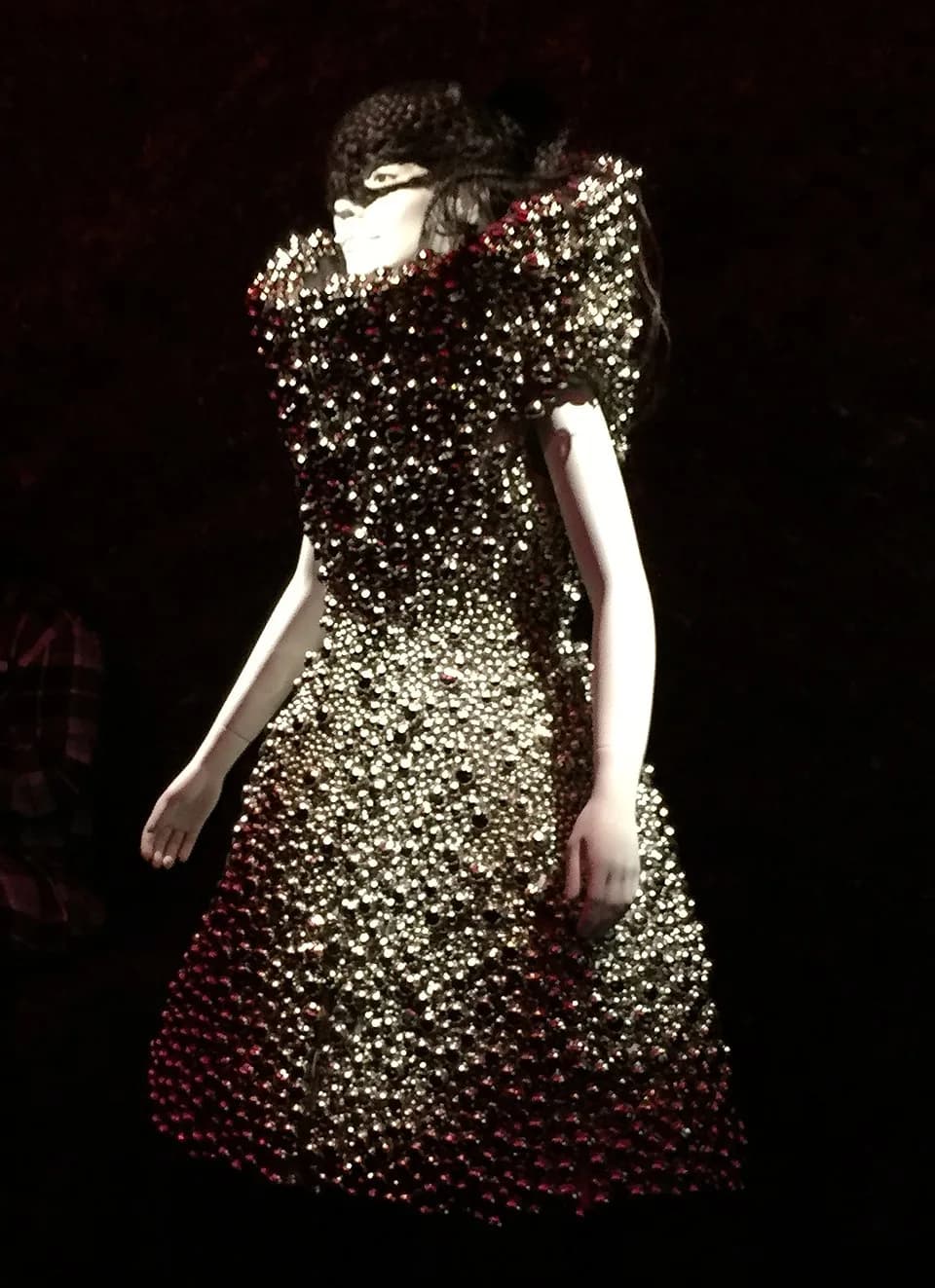 Alexander McQueen - Bjork at MOMA