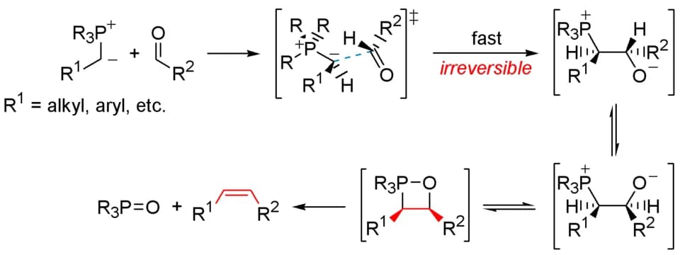 Georg Wittig - Description: Wittig reaction with unstable ylides

Made with ChemDraw