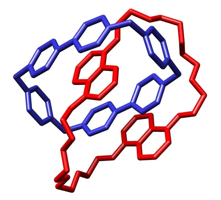 Fraser Stoddart - This is a picture generated from crystal structure data reported by Peter R. Ashton, Christopher L. Brown, Ewan J. T. Chrystal, Timothy T. Goodnow, Angel E. Kaifer, Keith P. Parry, D