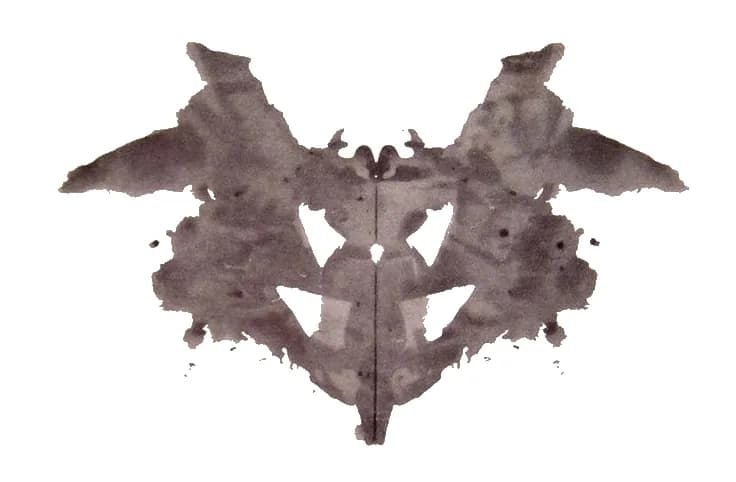 Hermann Rorschach - The first blot of the Rorschach inkblot test