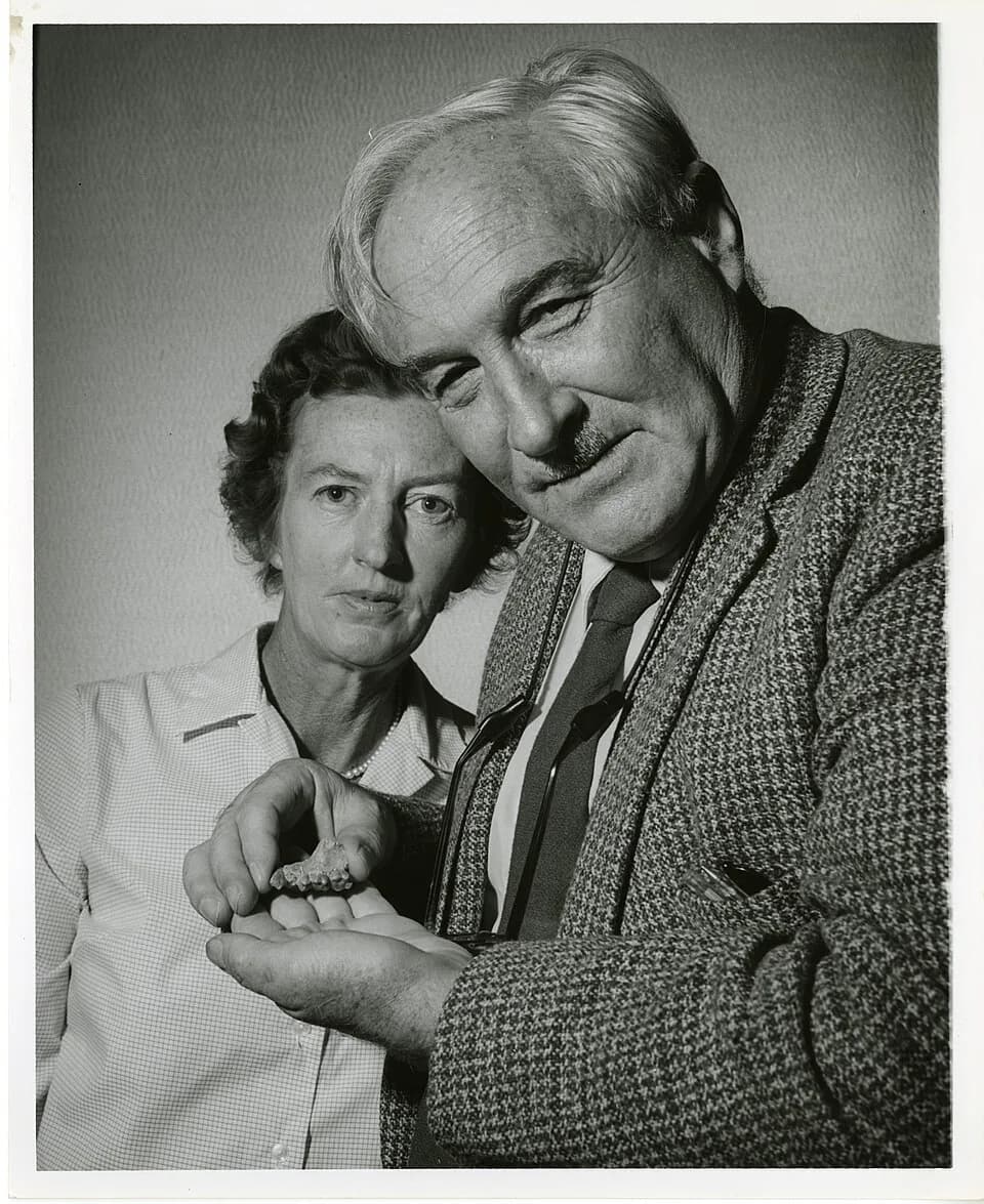 Louis Leakey - British archeologist and anthropologist Mary Douglas Nicol Leakey (1913-1996) and her husband Louis Seymour Bazett Leakey (1903-1972), 1962.
Cite as: Acc. 90-105 - Science Service, Reco