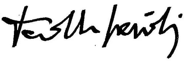 David Sassoli - David Sassoli signature.