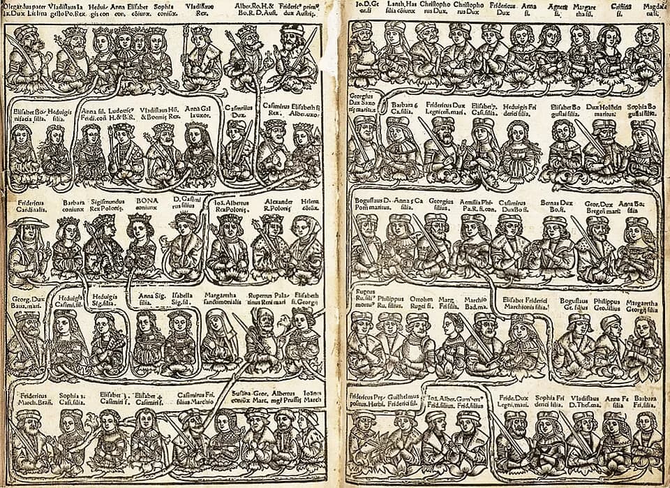 Louis II of Hungary - Фамільнае дрэва дынастыі Гедзімінавічаў (Giedziminavičy) і Ягайлавічаў (Jagajłavičy)
