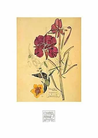 Charles Rennie Mackintosh - Flowers