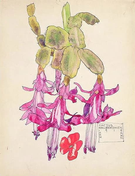 Charles Rennie Mackintosh - Cactus Flower