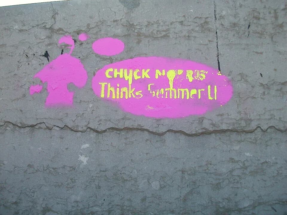 Chuck Norris - chuck norris thinks in pink