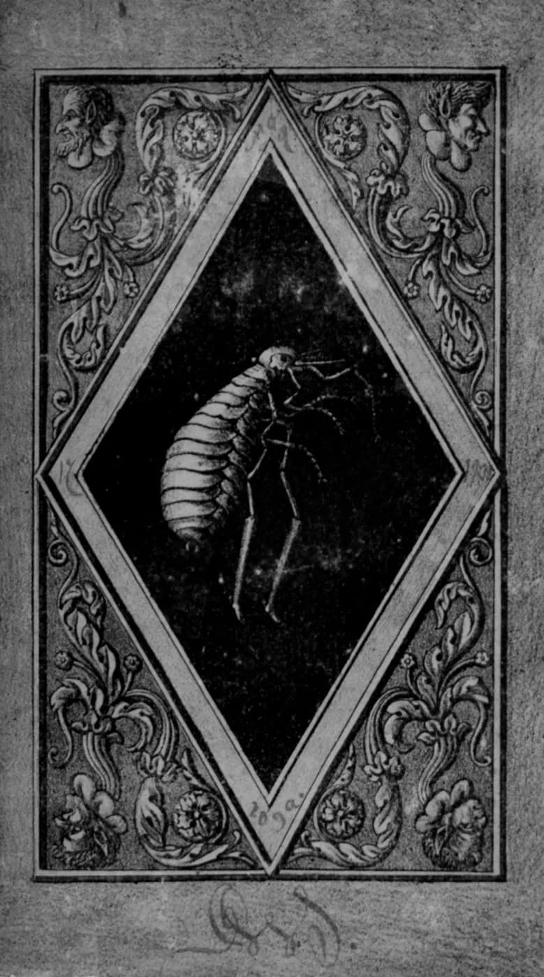 E. T. A. Hoffmann - Meister Floh, aus: E. T. A. Hoffmann: Meister Floh. Ein Mährchen in sieben Abentheuern zweier Freunde. mit Illustrationen in Sepia-Manier von Fr. Thiele nach Entwürfen des Verfasse