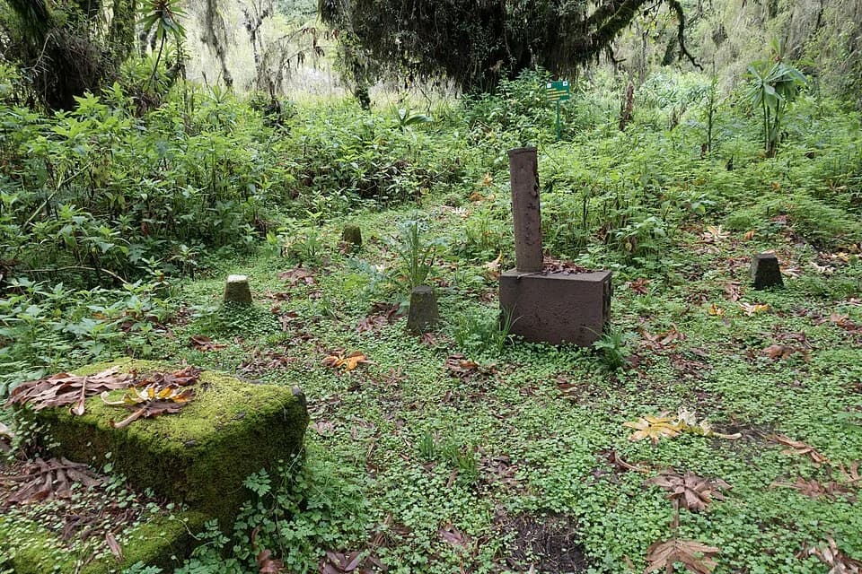 Dian Fossey - The making of this document was supported by Wikimedia CH. (Submit your project!)
For all the files concerned, please see the category Supported by Wikimedia CH.
العربية ∙ বাংলা ∙ češt