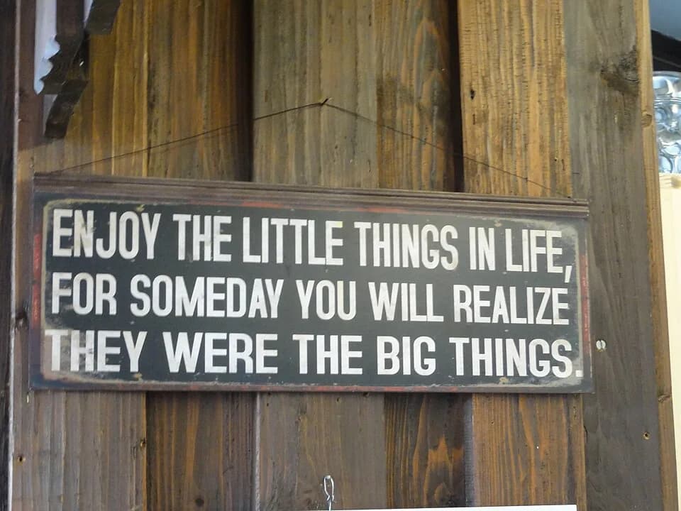 Kurt Vonnegut - location of photographer: Germany > Bavaria > Oberbayern > Landkreis Miesbach > Gemeinde Schliersee > Taubenstein
Motif:
Sign
“Enjoy the little things in life, for so