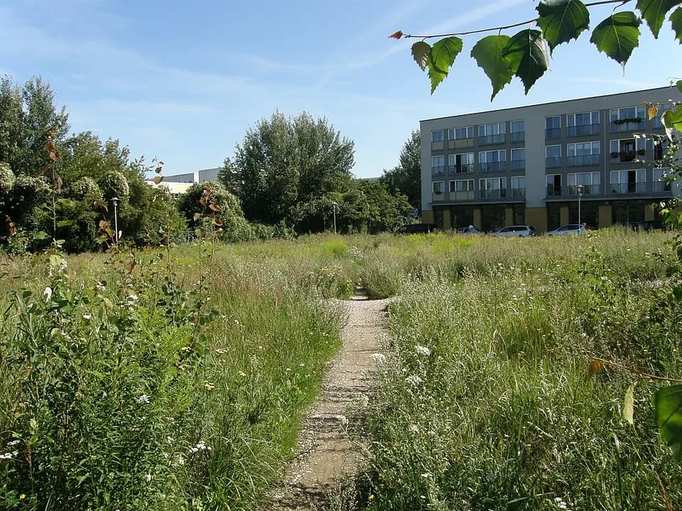 Kurt Weill - Berlin-Hellersdorf, Blick von der Ecke Kastanienallee und Senftenberger Straße, auf den Kurt-Weill-Platz. Dieser zeigt sich zu dieser Zeit noch als Brache, mit von den Leuten wild getrete