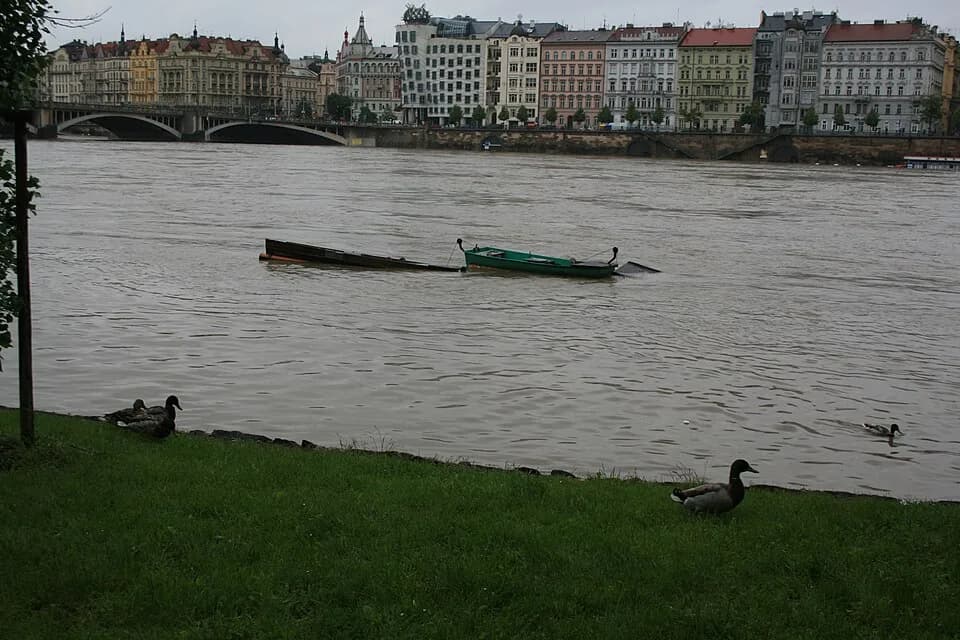 Ginger Rogers - Vltava floods in Juny 2013 in Prague, Czech Republic