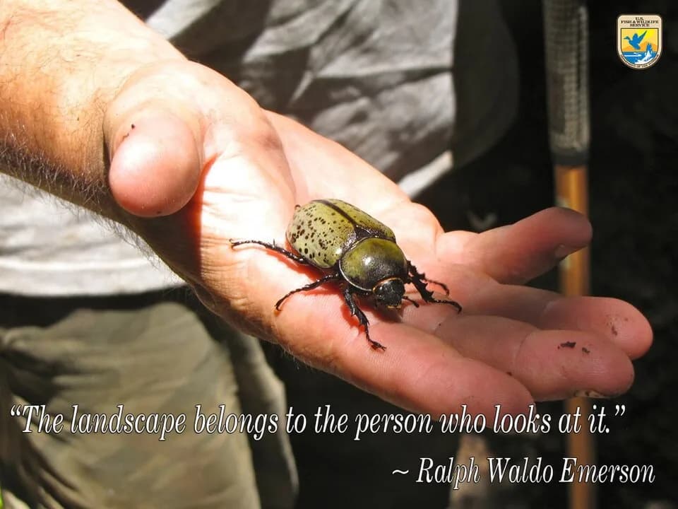 Ralph Waldo Emerson - Download, share and enjoy! (Photo Credit: USFWS)