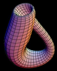 Felix Klein - KleinBottle-01.png