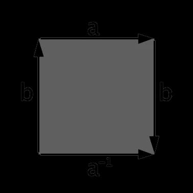 Felix Klein - Fundamental polygon of the Klein bottle.png