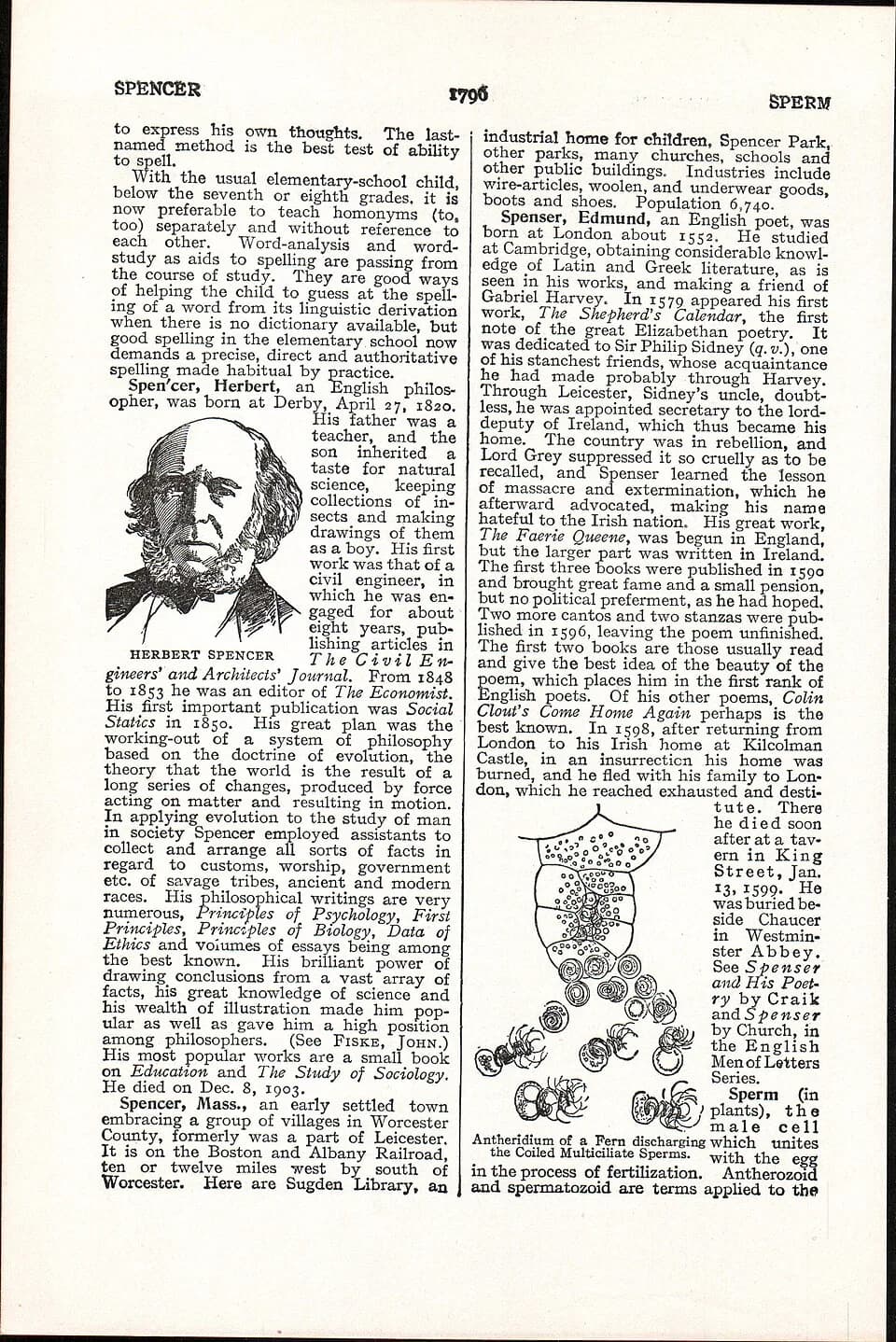 Herbert Spencer - LA2-NSRW-4-0328.jpg