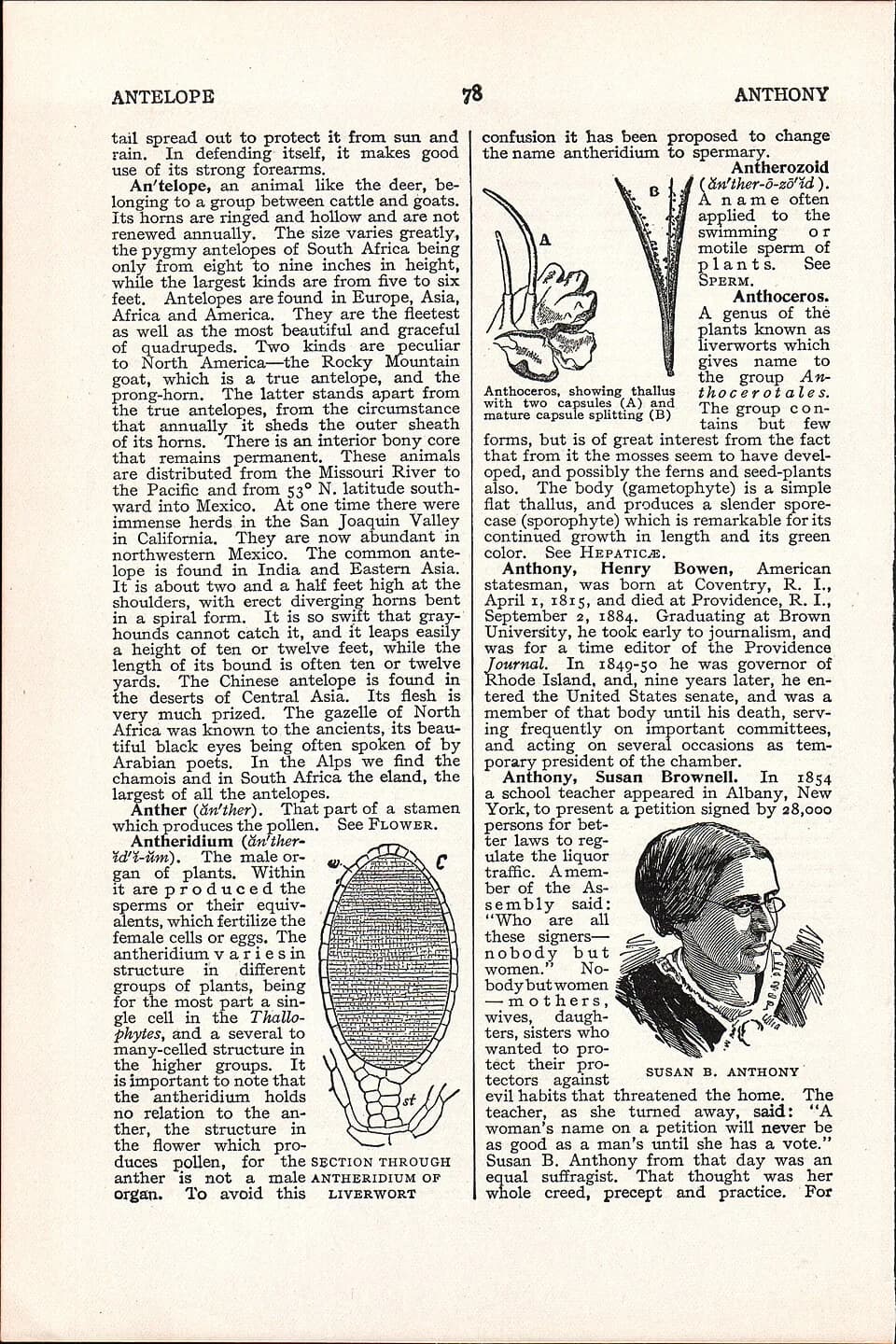 Susan B. Anthony - LA2-NSRW-1-0107.jpg
