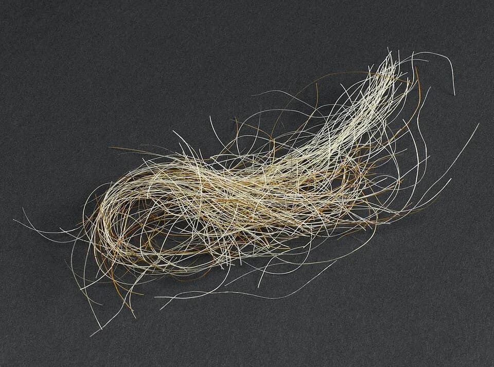 George III of Great Britain - A lock of hair, reputedly from King George III
King George III (1738-1820) ruled the United Kingdom of Great Britain and Ireland and was also king of Hanover &amp;#150; p