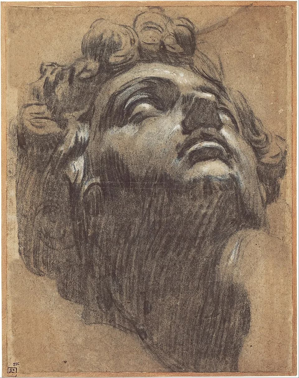 Jacopo Tintoretto - Jacopo Tintoretto - Head of Giuliano de' Medici - Google Art Project.jpg