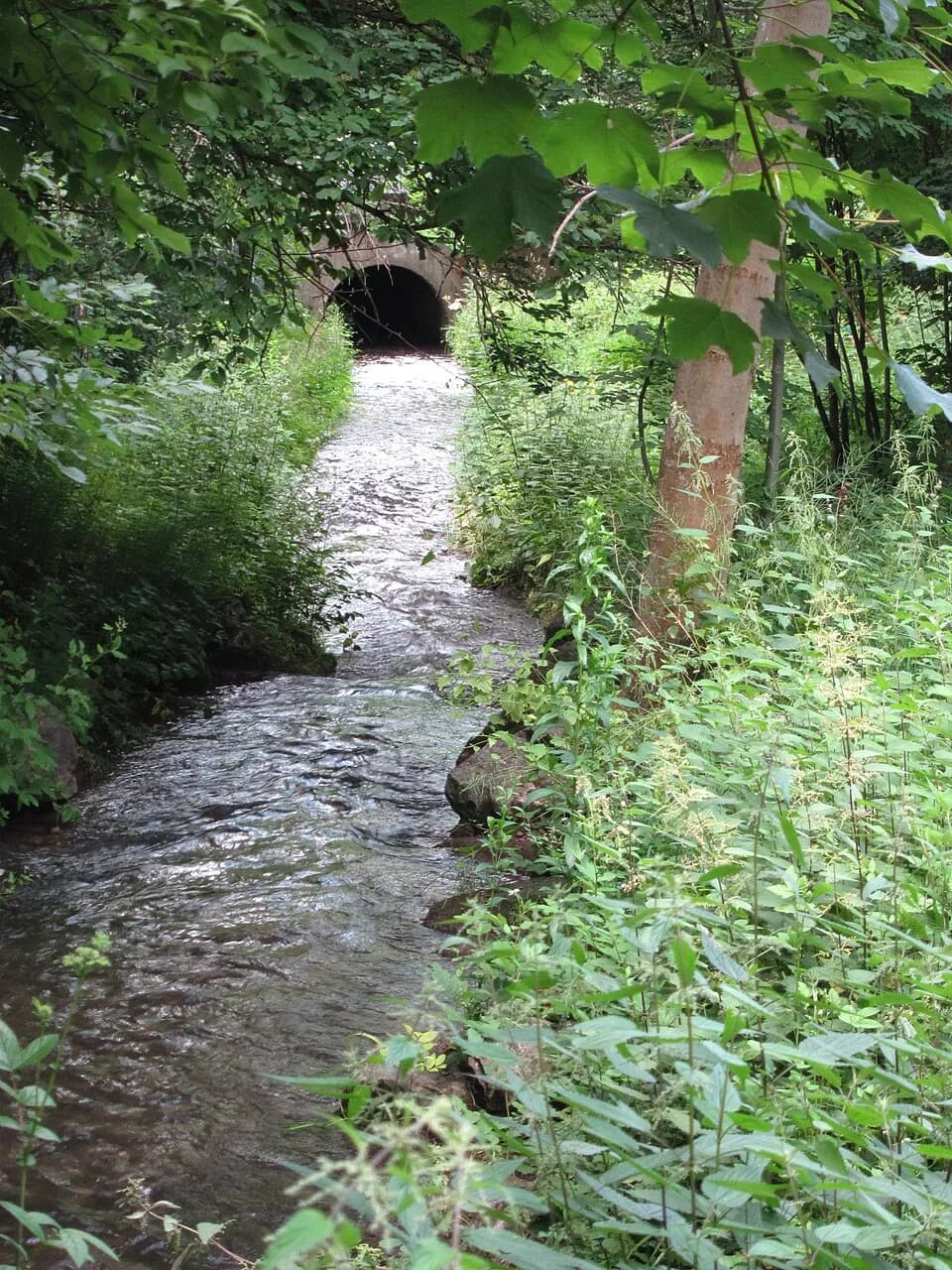 Heinrich Otto Wieland - Hachinger Bach im Ostpark vor der Heinrich-Wieland-Straße