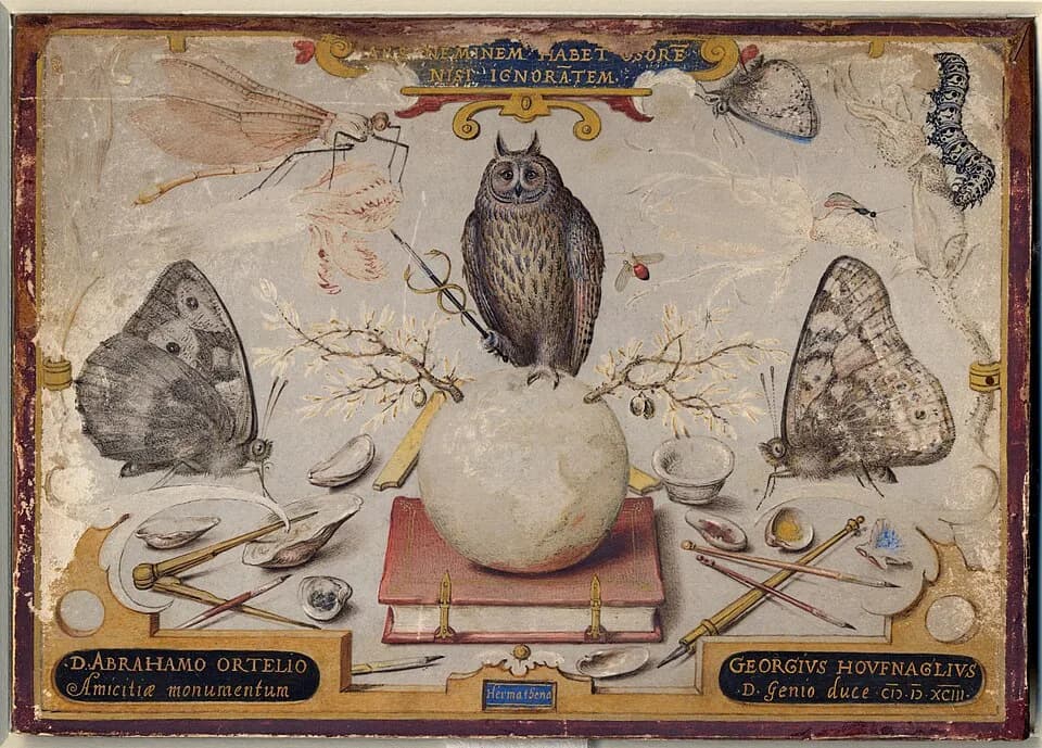 Abraham Ortelius - This drawing is an allegorical representation that symbolizes the union of arts and sciences (= Hermathena theme). The owl symbolizes Athena, goddess of wisdom and the staff she hol